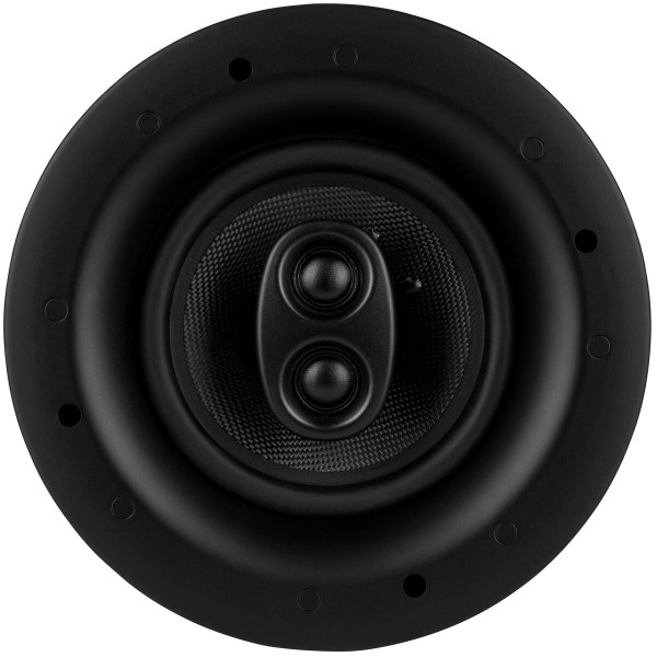 Detailed view of the speaker without grille